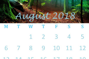 August 2018 Wall Calendar
