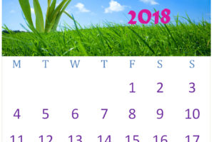 June 2018 Wall Calendar