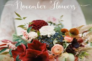 November Flowers Images Pics Clipart